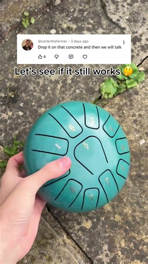 I wonder what will happen 🤔🌧️ #raindrum #instrument #garden #home