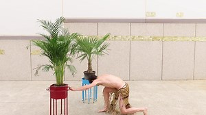 BIONIC FESTIVAL 2022 INTRO Denis Lavie, Trachycarpus Fortunei &...