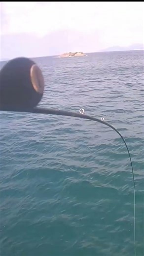 Sea fishing big fish a red barrow oh my got #fishing