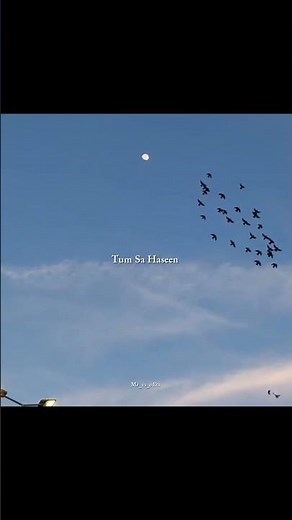 Main Agar Kahoon Tum Sa Haseen | #lyricsreels #songlyrics #lyricsvideo #lyricalstatus #shorts