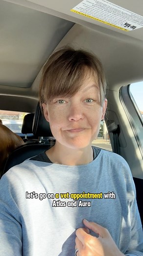 Vaccination boosters or titer tests?💉 I always opt for yearly vaccination boosters for my dogs instead of getting titer tests - I have had both since puppies and I know their vaccination history and neither one has never has an averse reaction to any vaccines. Have you chosen to do titer tests? This was our first ever duo vet visit🐶🐶 Atlas is usually pretty nervous from the moment we step into the lobby but I feel he was definitely more relaxed with Aura as his goofy sidekick😊 Atlas needed f
