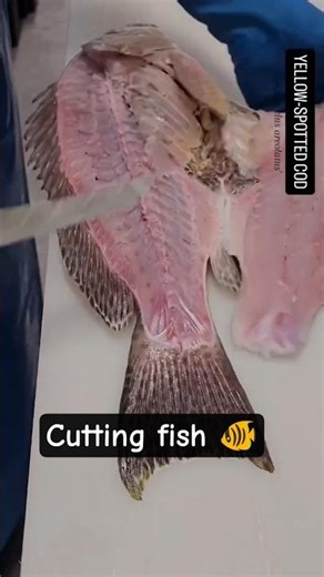 #fish #cutting #skills #1000subscriber #shotrs #viral #cuttingskils #viralshorts #short #shortsvirm1
