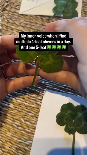What I'm doing with all my 4-leaf Clovers (and one 5-Leaf!)