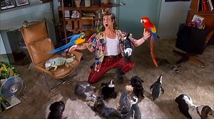 Watch Free Ace Ventura: Pet Detective 1994 Full Movie Online