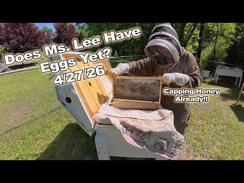 Does Ms. Lee Have Eggs Yet? 4/27/26 - Episode 125 LCH