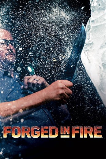Forged in Fire (TV Series 2015– )