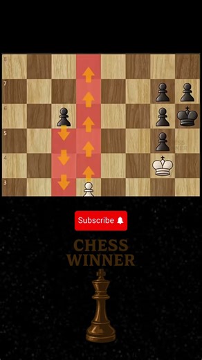 Epic Pawn Endgame 🔥 | Chess Winner #chess #shorts #endgame #checkmate #brilliant #pawnendgame