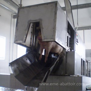 [Hot Item] Pig Abattoir Equipment  Automatic Three Point Stunning Conveyor Equipment Pig Slaughter Machine