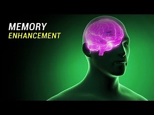 Manipulating Brain Waves Could Boost Human Memory