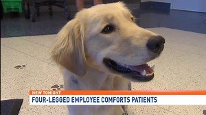 Meet the newest employee of Penn State Hershey Medical Center