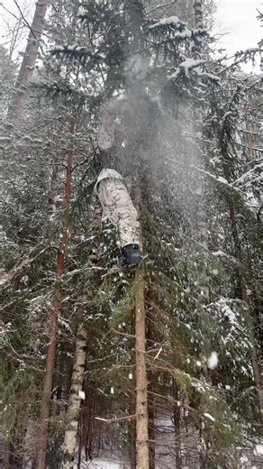 Elmo🧸 (@4b4ng3r)’s videos with original sound - Yle Areena