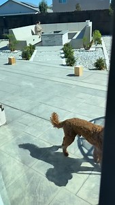 46K views · 2.3K reactions | Jajaja #la #doña #jajaja #viral #video #comedia #viral | Don Reclamos | Facebook