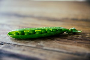» Is It Too Late To Plant Peas? What Is The Best Time To Plant Them?