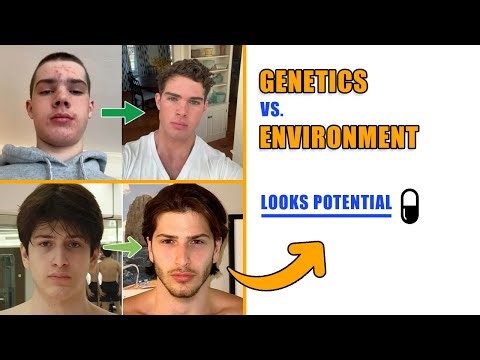 Genetics Decide Your Face… But Not As Much As You Think