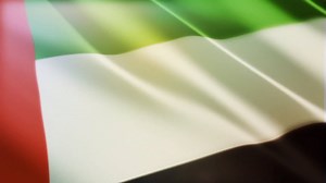 30K views · 568 reactions | Check out these 47 fascinating facts about UAE in celebration of UAE's 47 years. Watch the video to know more. | Khaleej Times | Facebook