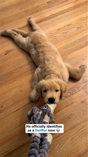 They Dreamed of This Moment Forever... And It Was Worth The Wait 🥺