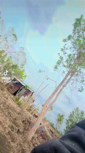 Đi dạo chơi nha mới người 🫣