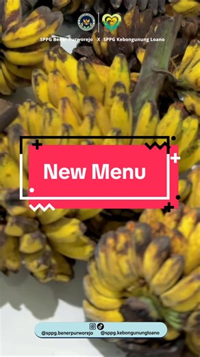 New menu mbg ada setup buah @Nastiti Wedding Purworejo @PRABOWO SUBIANTO @Gibran Rakabuming @gerindra @badangizinasional.ri #mbg #sppgbenerpurworejo #setup #zyxcba #berandatiktok