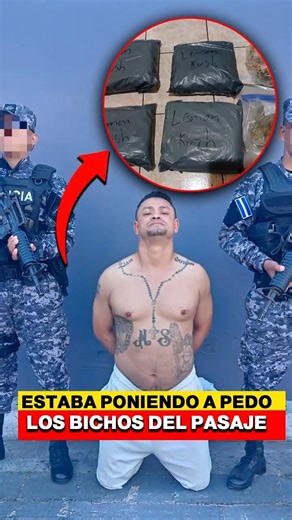 Cayó “Chagui” andaba poniendo a pedo el pasaje y lo agarró la PNC