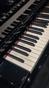 A few of the many exquisite tones on the incredible Yamaha CLP-795GP Clavinova Digital Grand Piano, presented for your stereophonic listening pleasure 🎹🎵 See it in-store or online at ⤵ https://www.megamusiconline.com.au/product/yamaha-clp-795gp-clavinova-digital-grand-piano-with-bench-in-polished-ebony/ #yamahaclavinova #clavinova Yamaha Music Australia - Music Products | Mega Music