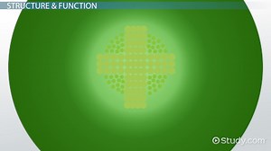 You must c C reate an account to continue watching