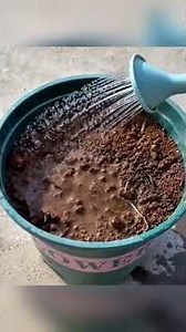 un terreau meuble et gratuit?! je t'explique les étapes... #jardin #jardinage #engrais #astuces