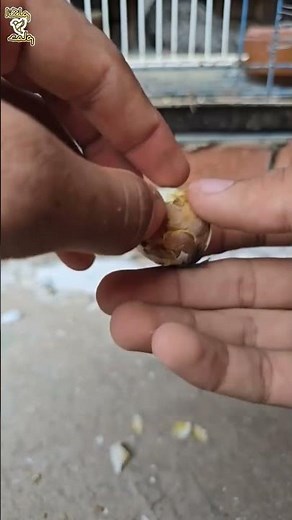 انقاذ من الموت 🧐