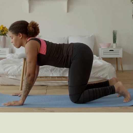 cat and camel exercise