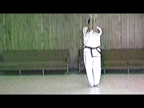 Yoshukai Katas (Kyu Katas) Performed by Alexander Brice, 4th Dan, 1989.