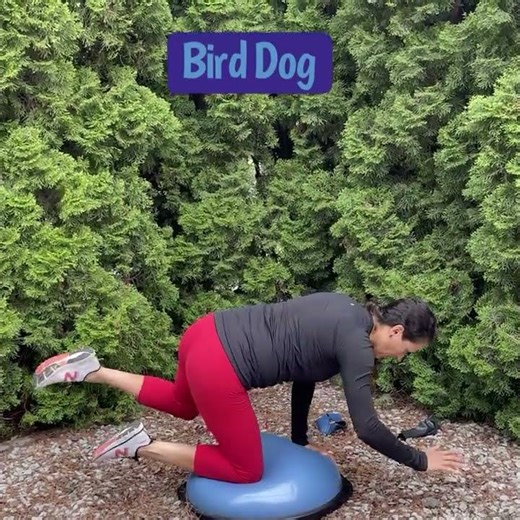 Bosu Ball Core Exercises | Tone Your Core with these Exercises Using a Bosu Ball