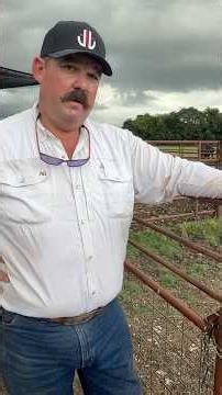 Training him on how to chain a gate….#ranch #ranching #gate