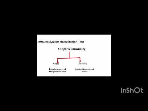Basics of immune system