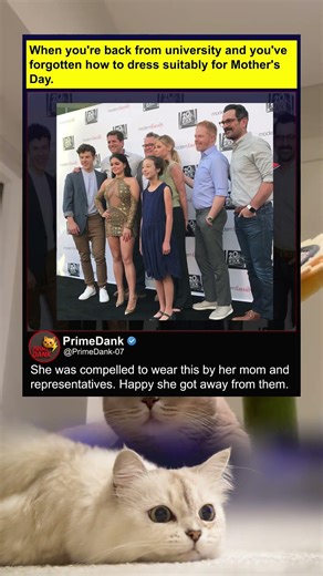 Talk about an awkward family photo 💀 | funny memes | relatable American memes | dank memes