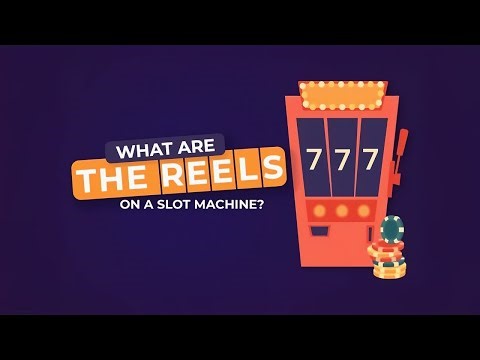 Slot Machine Reels: Everything You Need to Know