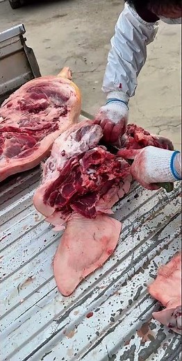 How to professionally cut PORK HEAD 'pro pig head cutting'