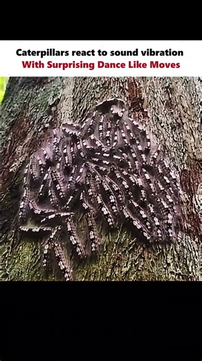 Its Enjoyable 😁 #physics #scienceexplained