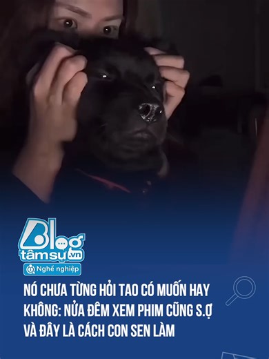 Nó chưa từng hỏi tao có muốn hay không 🤣🤣🤣 #xuhuong #btsmedia #blogtamsu #funfact #discovery #tiktoknews #haihuoc #cho