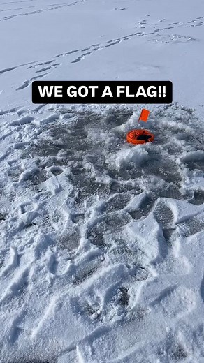 2.3K views · 107 reactions | What a fish! My best success with tip-up fishing for Northern Pike through the ice involves a few simple things.⬇️ 1. Light leader line, 30lb mono instead of steel. 2. Small hooks, size 10-12. 3. Large dead bait, 8-12 inch baits have worked best for me! #fishing #bigfish #northernpike #wisconsin | Matthew Crawford | Facebook