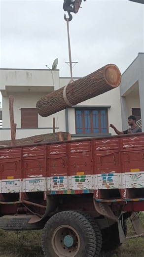 silver wood Timber lorry loading #viral #wood #timber