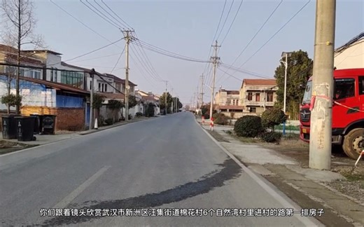 湖北省武汉市新洲区汪集街道棉花村6个自然湾村里