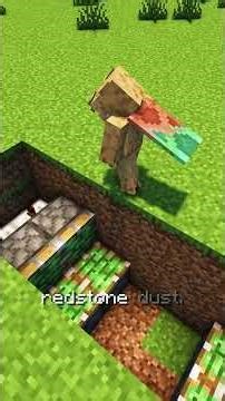 The 2x2 Door That Opens Into The Ground!