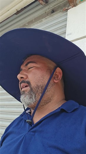 Programación Automotriz para Ford Escape: Solución de Bin