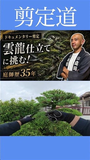 [Cloud Dragon Style] Expert Techniques Explained in Detail!! #GardenTreeManagement #PruningBack #...