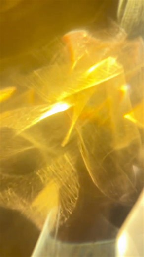 Yes! we make our Greek Yogurt in house! A process that begins with high-quality milk and live cultures. We're one of the few restaurants in the area to make and sell our own Greek yogurt, ensuring you enjoy the freshest ingredients in every bite! 🥣✨ | Parthenon Gyros