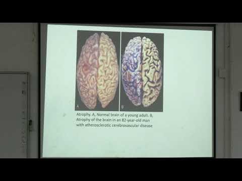 Lecture On Cellular Adaptation & Aging: Hypertrophy, Atrophy, Metaplasia, Dysplasia | MBBS