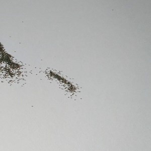 608K views · 1.1K shares | Smoking cigarettes can cause plaque buildup in your arteries, which can lead to heart attack or stroke. #TheRealCost | The Real Cost | Facebook