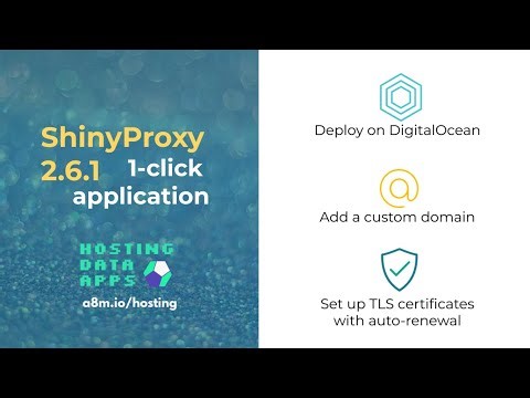 ShinyProxy 2.6.1 1-click application
