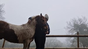 4.2K views · 337 reactions | Frodo Bless him, he really does try....