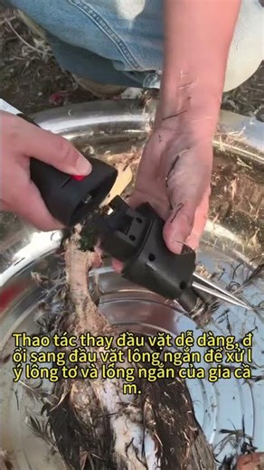 #PoultryPlucker #ChickenPlucker #DuckPlucker #GoosePlucker #DualHeadPlucker #FarmLife