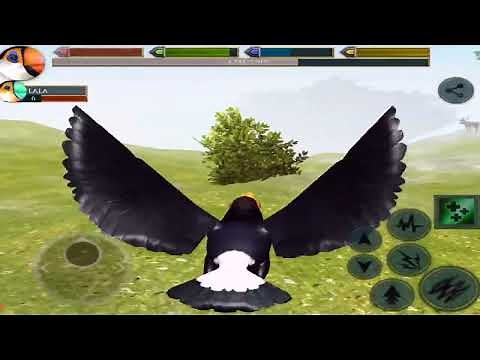 Toucan Bird 3D, Ultimate Bird Simulator, By Gluten Free Games